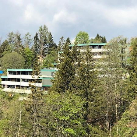 Apartment Harzblick -Neu Modernisiert- ザンクト・アンドレーアスベルク エクステリア 写真