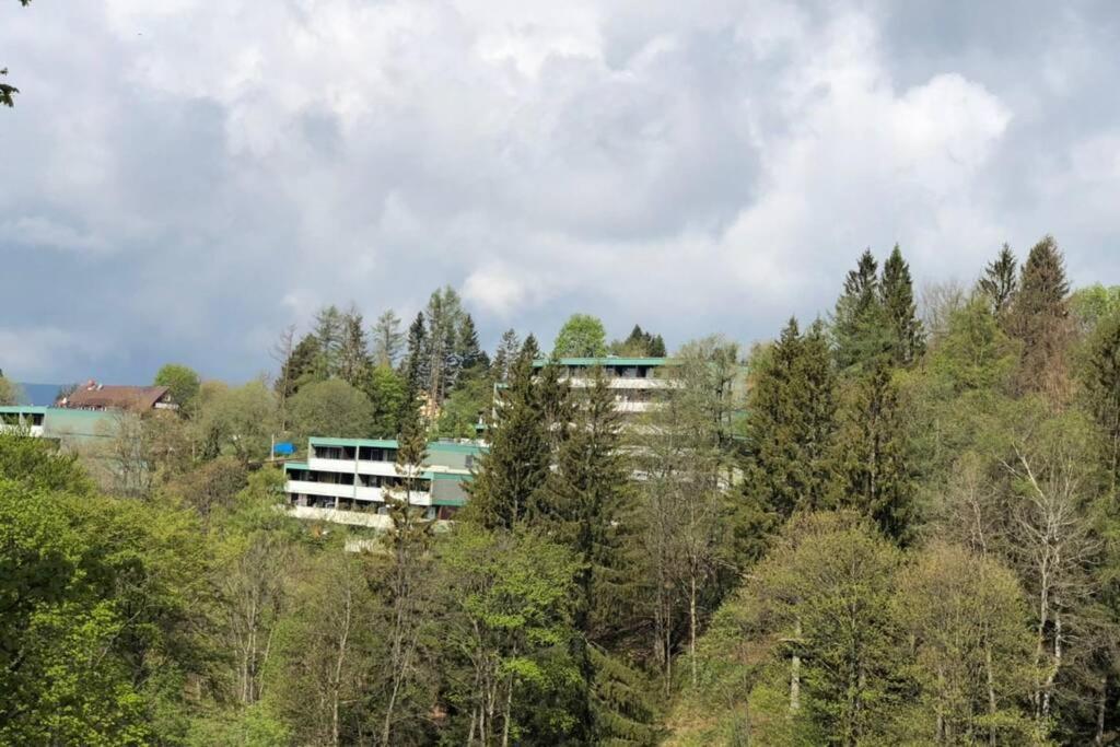 Apartment Harzblick -Neu Modernisiert- ザンクト・アンドレーアスベルク エクステリア 写真