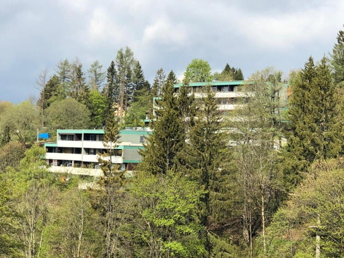 Apartment Harzblick -Neu Modernisiert- ザンクト・アンドレーアスベルク エクステリア 写真